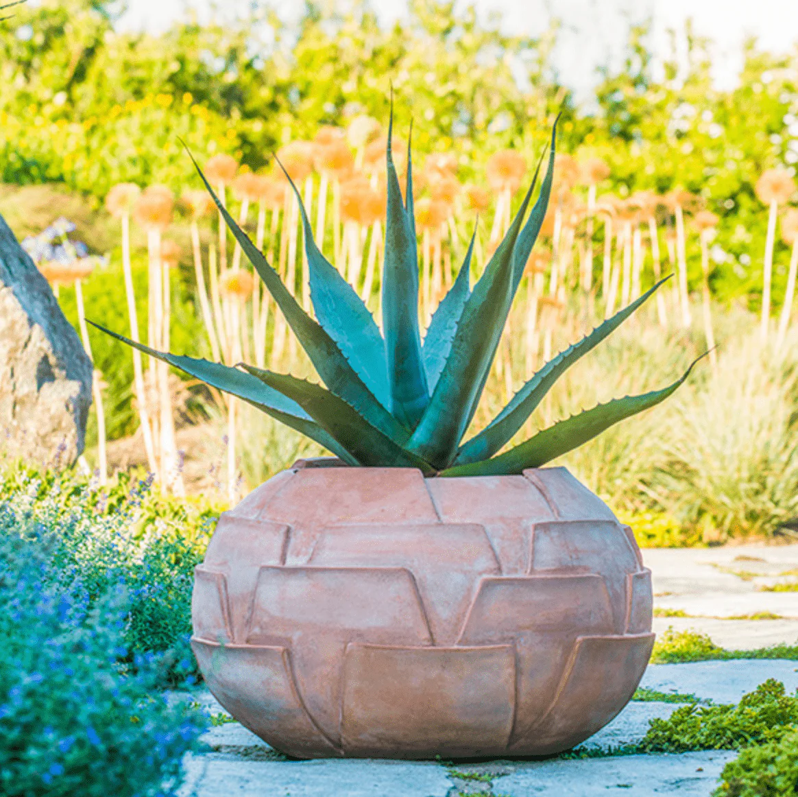 Italian Terra Cotta Cardoon Thistle Pot - Image 3