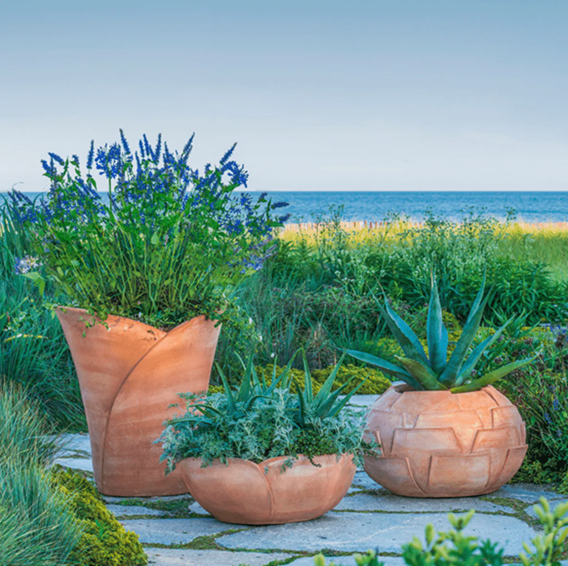 Italian Terra Cotta Cardoon Thistle Pot - Image 4