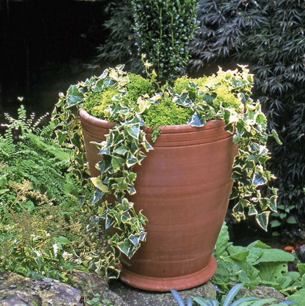 Italian Terracotta Gertrude Planter - Image 3