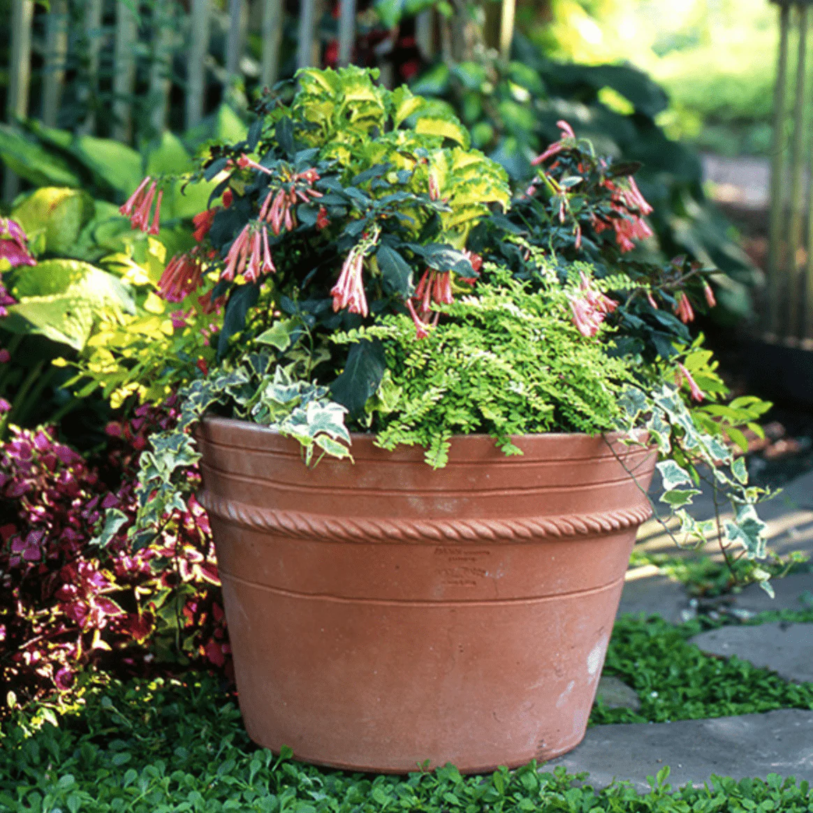 Italian Terracotta Hampton Planter - Image 4
