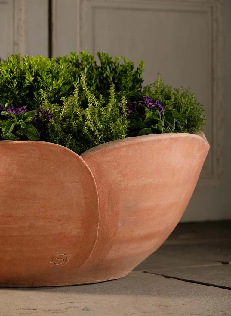 Italian Terracotta Hellebore Planter - Image 4