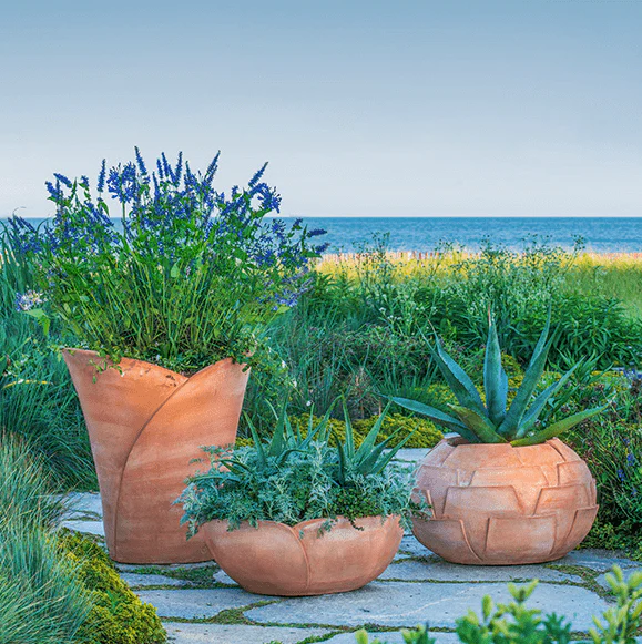 Italian Terracotta Hellebore Planter - Image 6
