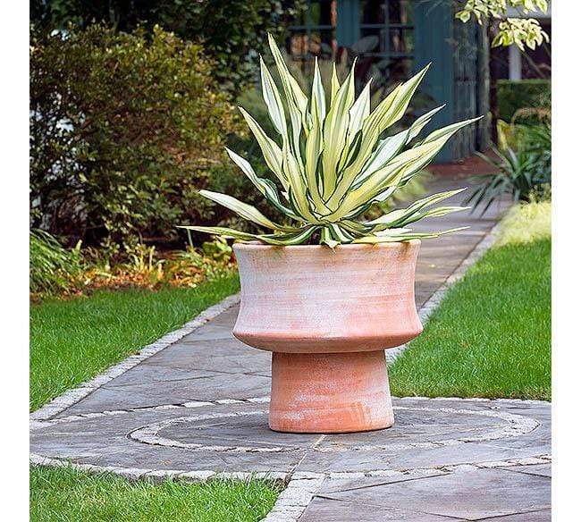 Italian Terracotta Jack Pot - Image 3