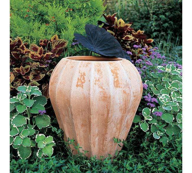 Italian Terracotta Messina Pot - Image 3